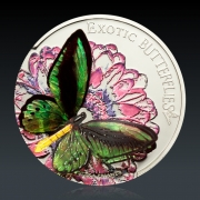 Exotic Butterflies 3D - Ornithoptera Priamus 2012